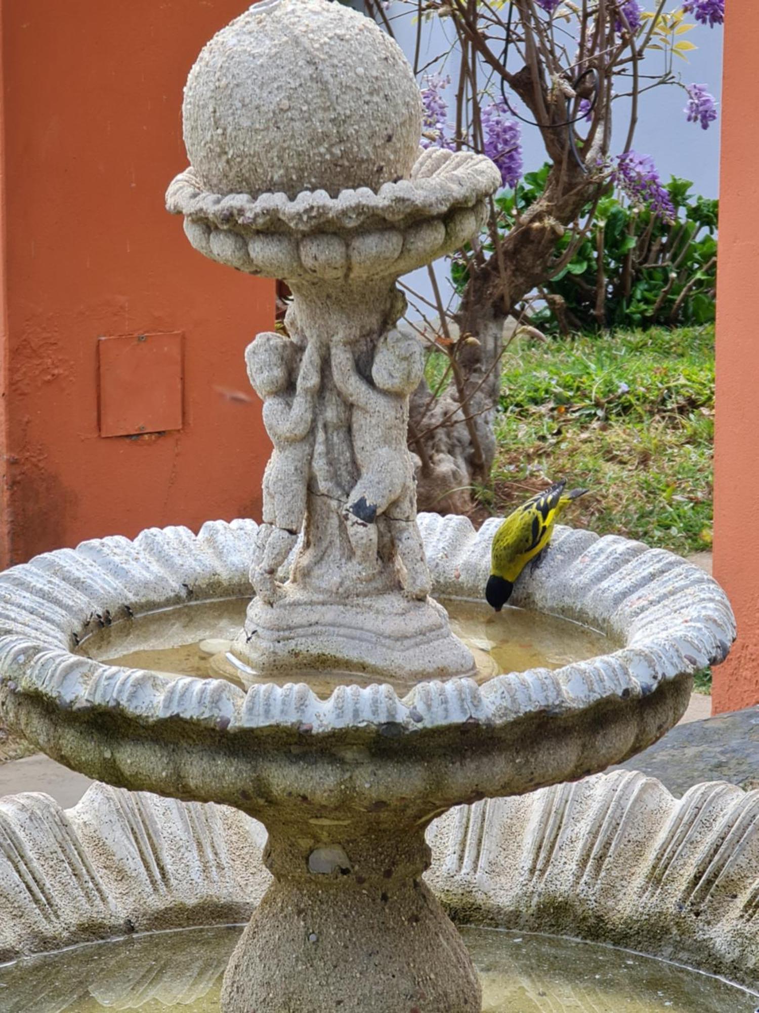 Chales Valle Florido モンテ・ヴェルデ エクステリア 写真